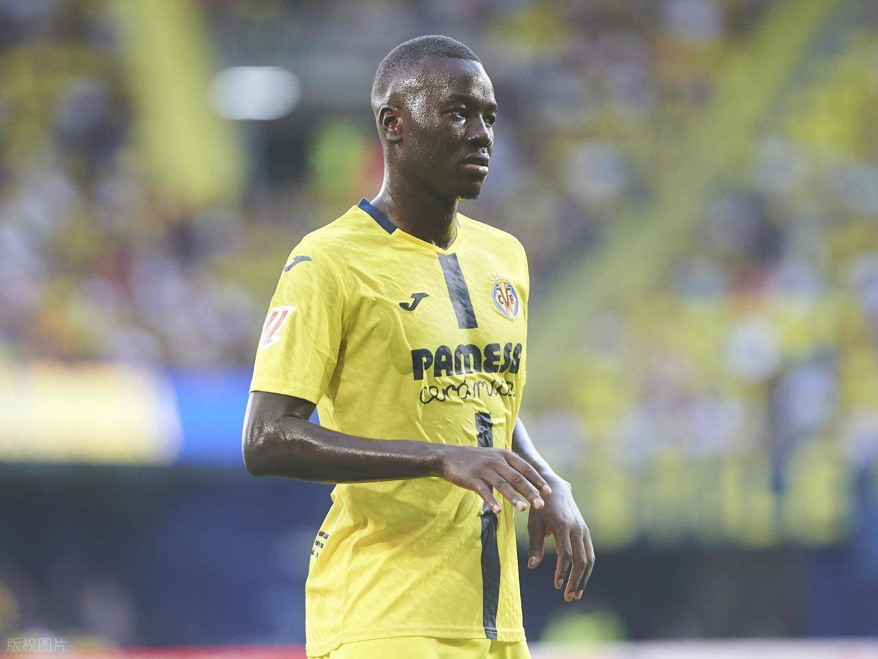 开云体育平台-包含比利亚雷亚尔遭遇逆转，惨失胜机的词条